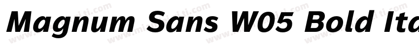 Magnum Sans W05 Bold Italic字体转换